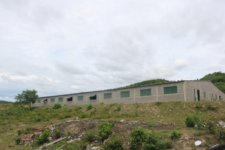 Một khu chuồng trại của dự án chăn nuôi bò sinh sản, bò thịt của DNTN Gia Hân.