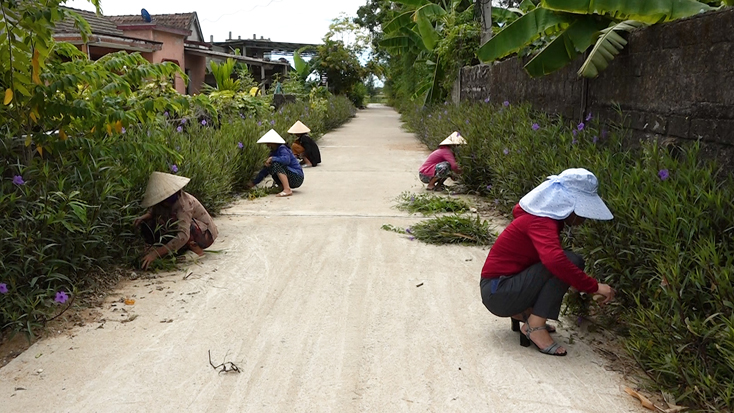 Phụ nữ xã Quảng Thủy chăm sóc đường hoa.