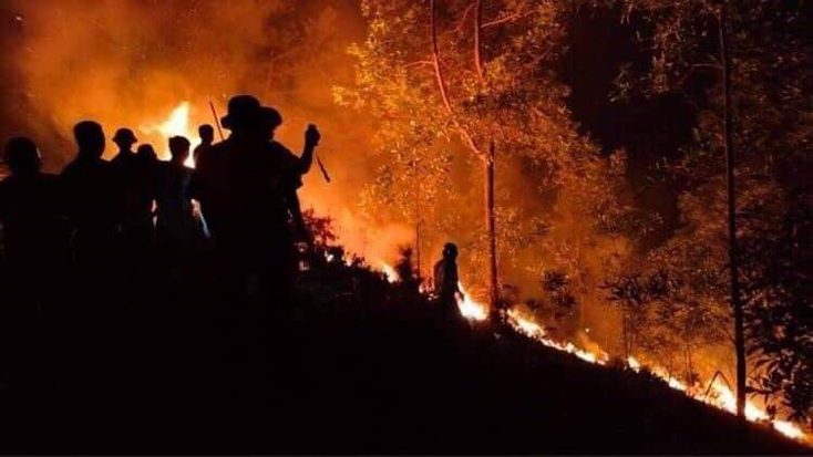 Tối 25-6-2021, một vụ cháy lớn xảy ra tại tiểu khu 159, thuộc xã Phú Sơn, thị xã Hương Thủy (Thừa Thiên - Huế) làm thiệt hại nhiều diện tích rừng thông. Ảnh: TTXVN phát