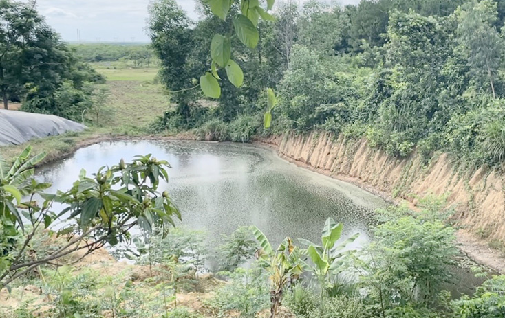 Một hồ chứa nước thải chăn nuôi của trang trại.