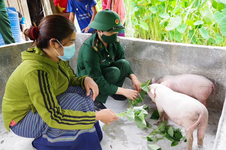 Hội Phụ nữ BĐBP tỉnh Quảng Bình tặng lợn giống cho hộ gia đình chị Hoàng Thị Tâm, bản Bến Đường, xã Trường Sơn, huyện Quảng Ninh.