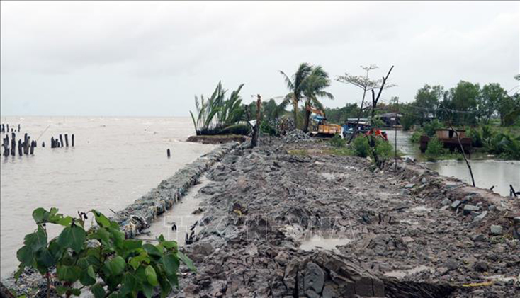 Một đoạn đê biển Tây tại khu vực vàm Tiểu Dừa, xã Vân Khánh Tây, huyện An Minh (Kiên Giang) bị sạt đang được khắc phục, bồi trúc, gia cố. Ảnh: Lê Huy Hải/TTXVN
