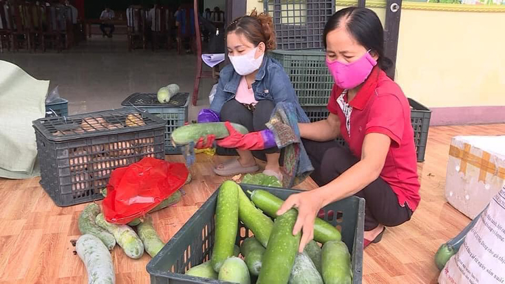 Rau, củ, quả được bà con xã Hồng Thủy đóng hộp chu đáo trước khi gửi vào TP. Hồ Chí Minh