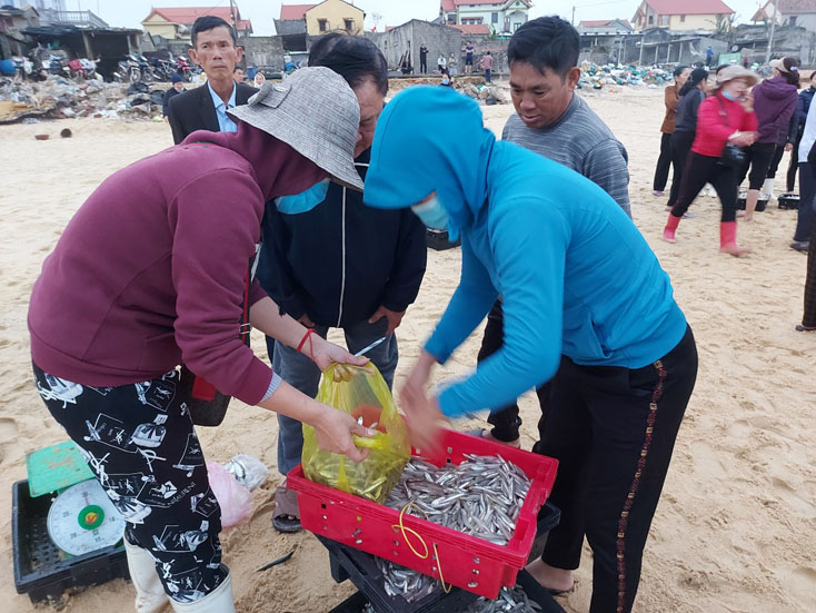 Hỗ trợ tiêu thụ sản phẩm thủy hải sản khai thác, thu mua trên địa bàn tỉnh nhằm tháo gỡ khó khăn cho các doanh nghiệp chế biến, xuất khẩu thủy hải sản trong mùa dịch.