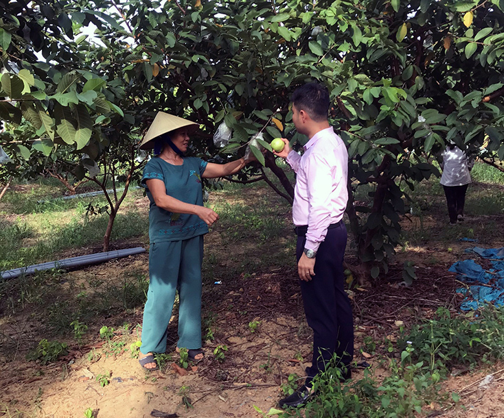 Cán bộ NHCSXH huyện Bố Trạch thăm các mô hình vay vốn đạt hiệu quả trên địa bàn thị trấn Nông trường Việt Trung (Bố Trạch).