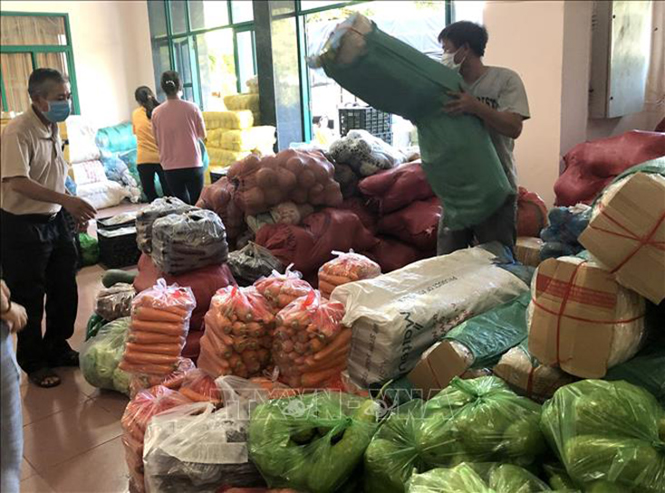 Nhiều hàng hóa nông sản, thực phẩm của nông dân Bình Định gửi tặng nhân dân Thành phố Hồ Chí Minh. Ảnh minh họa: Nguyên Linh/TTXVN