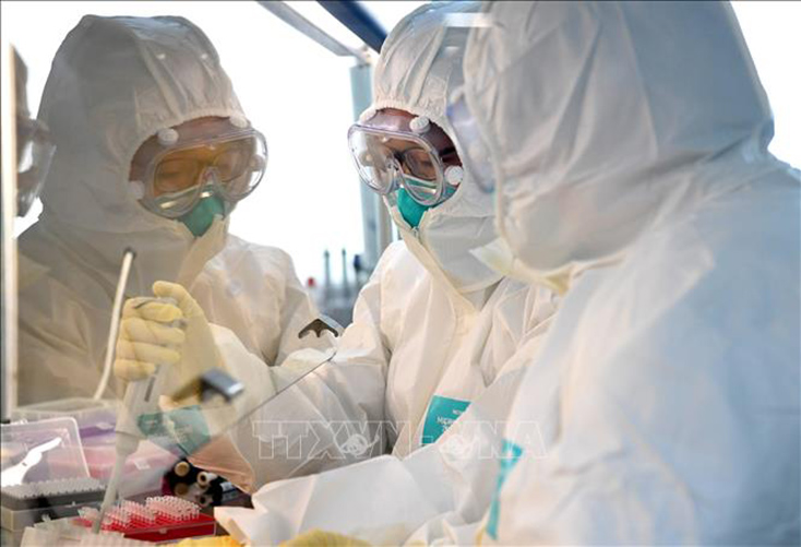Nhóm nghiên cứu phân tích mẫu bệnh phẩm của bệnh nhân nhiễm virus SARS-CoV-2 tại phòng thí nghiệm ở Hà Nam, Trung Quốc. Ảnh tư liệu: THX/TTXVN