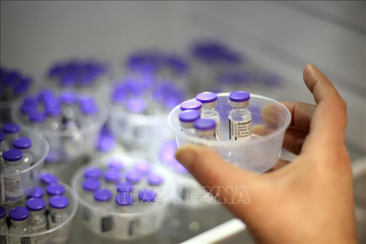  Vaccine ngừa COVID-19 của Pfizer-BioNTech. Ảnh: AFP/TTXVN