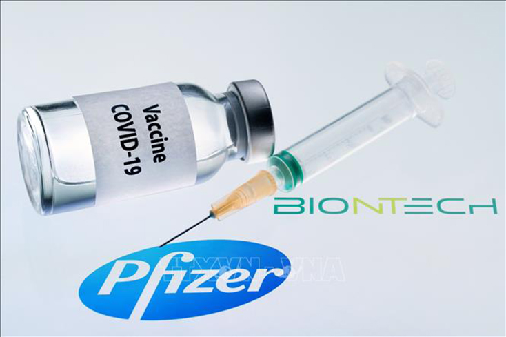 Hình ảnh mô phỏng vaccine ngừa COVID-19 do hai hãng dược phẩm Pfizer của Mỹ và BioNTech của Đức phối hợp bào chế. Ảnh minh họa: AFP/TTXVN