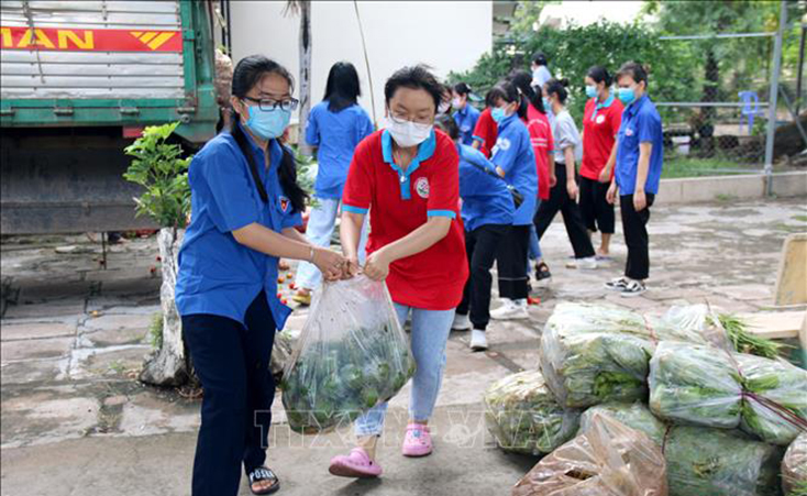  Các bạn đoàn viên thanh niên Thành đoàn Phan Thiết tiếp nhận hơn 30 tấn hàng hóa “Chuyến xe tuổi trẻ - San sẻ yêu thương” và phân loại các nhu yếu phẩm để trao cho nhân dân thành phố Phan Thiết. Ảnh minh họa: Nguyễn Thanh/TTXVN