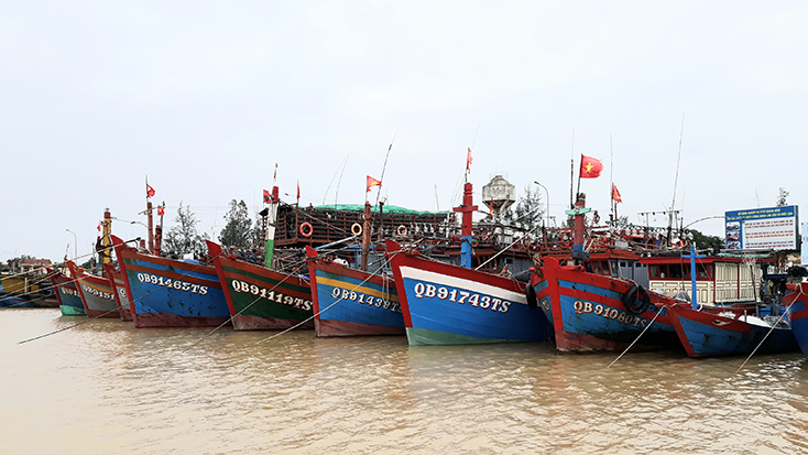 Tàu thuyền neo đậu tại cảng cá Nhật Lệ (xã Bảo Ninh, TP. Đồng Hới).