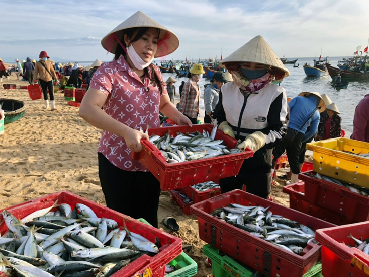 Chương trình “Người Quảng Bình góp cá gửi ân tình sẻ chia với TP.Hồ Chí Minh” nhận được sự hưởng ứng của bà con ngư dân Quảng Bình