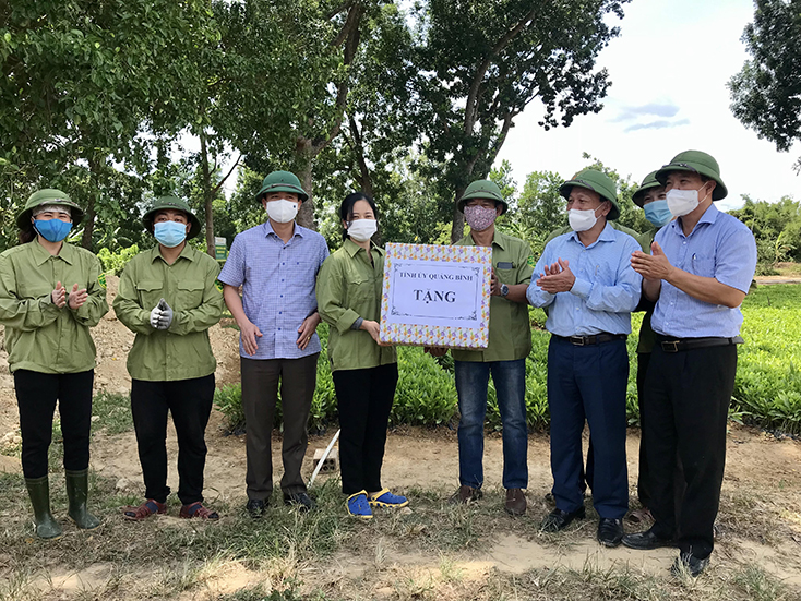  Đồng chí Phó Bí thư Thường trực Tỉnh ủy Trần Hải Châu tặng quà cho người lao động tại Chi nhánh lâm trường Đồng Hới.