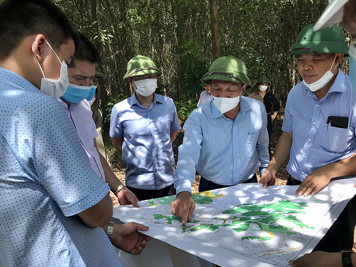 Đồng chí Phó Bí thư Thường trực Tỉnh ủy Trần Hải Châu kiểm tra bản đồ hiện trạng sử dụng đất của Công ty TNHH MTV Lâm Công nghiệp Long Đại.