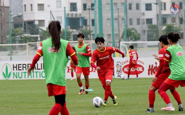 Đội tuyển nữ Việt Nam tập luyện. (Ảnh: VFF)