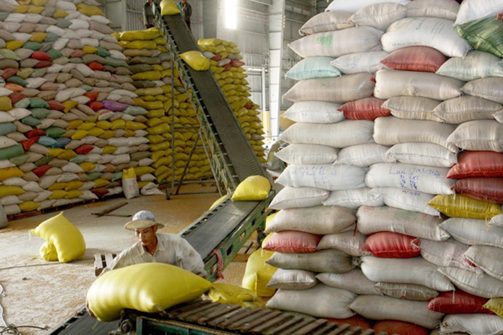 Giá gạo xuất khẩu loại 5% tấm của Việt Nam đã giảm xuống 385 USD/tấn trong phiên giao dịch ngày 19-8. (Ảnh minh họa: TTXVN)