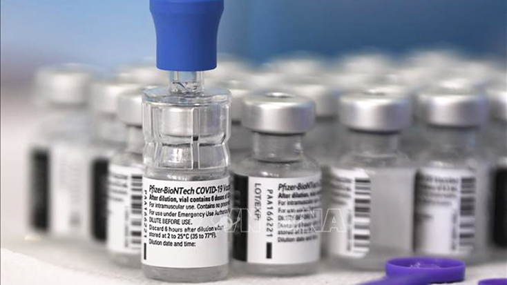 Vaccine phòng COVID-19 của Hãng Pfizer-BioNTech. Ảnh: AFP/TTXVN