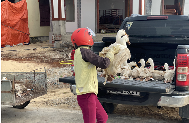  “Đội phản ứng nhanh” trung chuyển, giải cứu nông sản, thủy sản cho bà con nông dân trên địa bàn huyện.