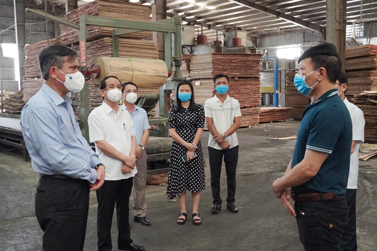 Đồng chí Chủ tịch UBND tỉnh Trần Thắng và đoàn công tác nắm bắt tình hình tại Công ty CP gỗ Quảng Phát.
