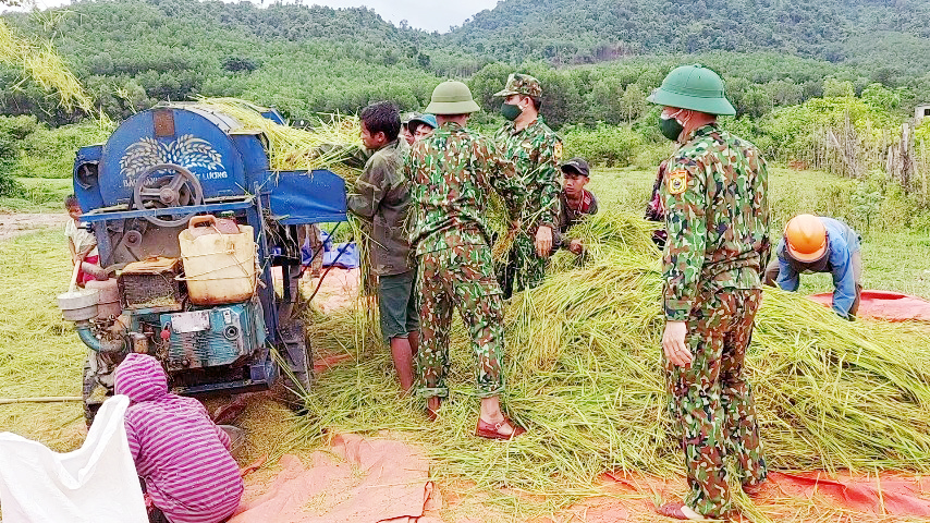 Cán bộ, chiến sỹ Đồn Biên phòng Ra Mai giúp người dân bản Cà Xen (xã Thanh Hóa) thu hoạch lúa trước mưa bão.