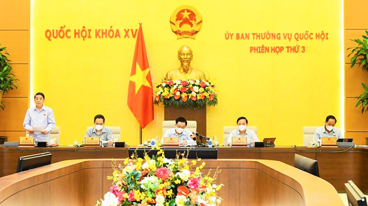 Phó Chủ tịch Quốc hội Nguyễn Đức Hải phát biểu tại phiên họp.