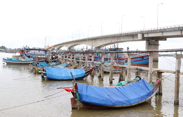 Tàu thuyền neo đậu tránh trú bão. (Ảnh: Nguyên Lý/TTXVN)