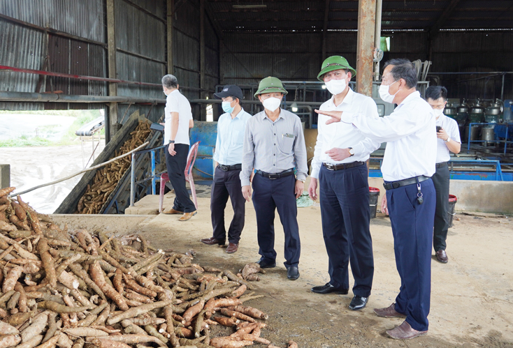 Đồng chí Chủ tịch UBND tỉnh Trần Thắng kiểm tra tình hình sản xuất tại Công ty CP Focosev Quảng Bình.