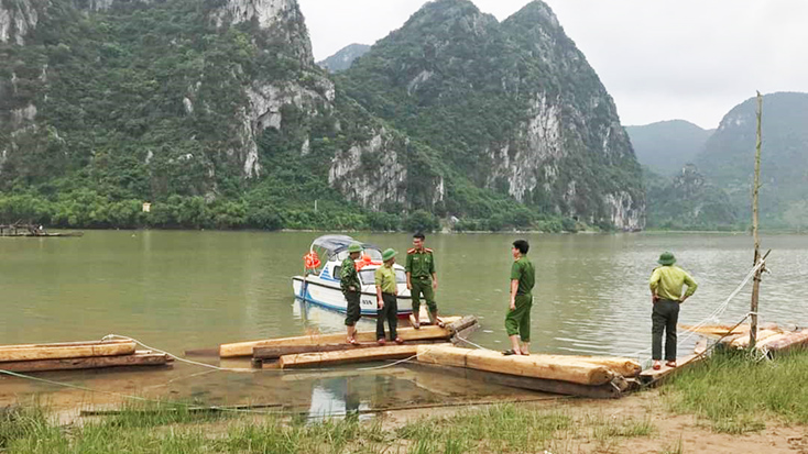 Công an huyện và Hạt Kiểm lâm huyện Tuyên Hóa xử lý số gỗ vận chuyển trái phép vào ngày 5-5-2021.