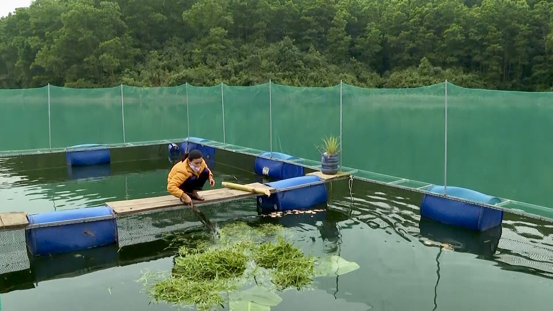 Minh Hóa: Chủ động bảo vệ nuôi trồng thủy sản trong mùa mưa bão
