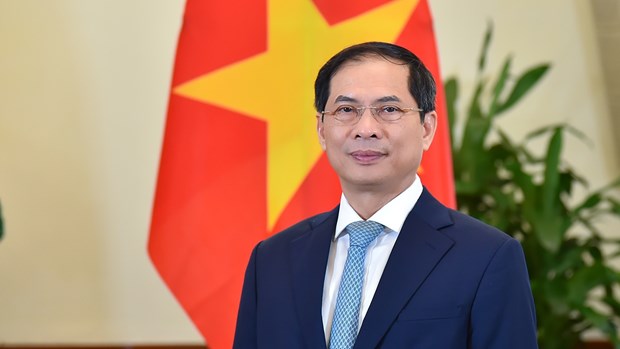 Bộ trưởng Ngoại giao Bùi Thanh Sơn. (Ảnh: Bộ Ngoại giao)