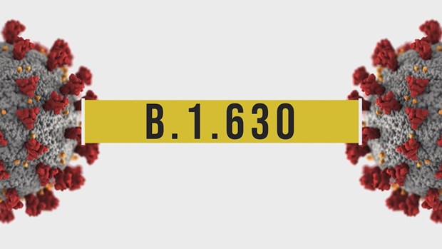 Biến thể mới có tên B.1.630. (Nguồn: katc.com)