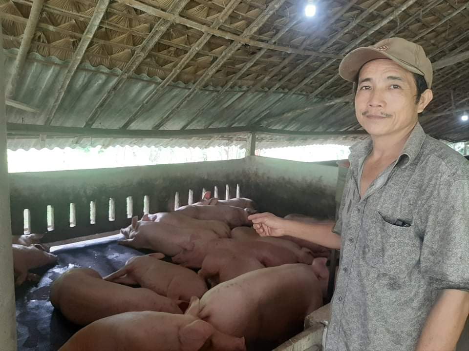 Từ mô hình nuôi lợn, anh Đinh Trọng Lưỡng đã vươn lên trở thành hộ giàu.