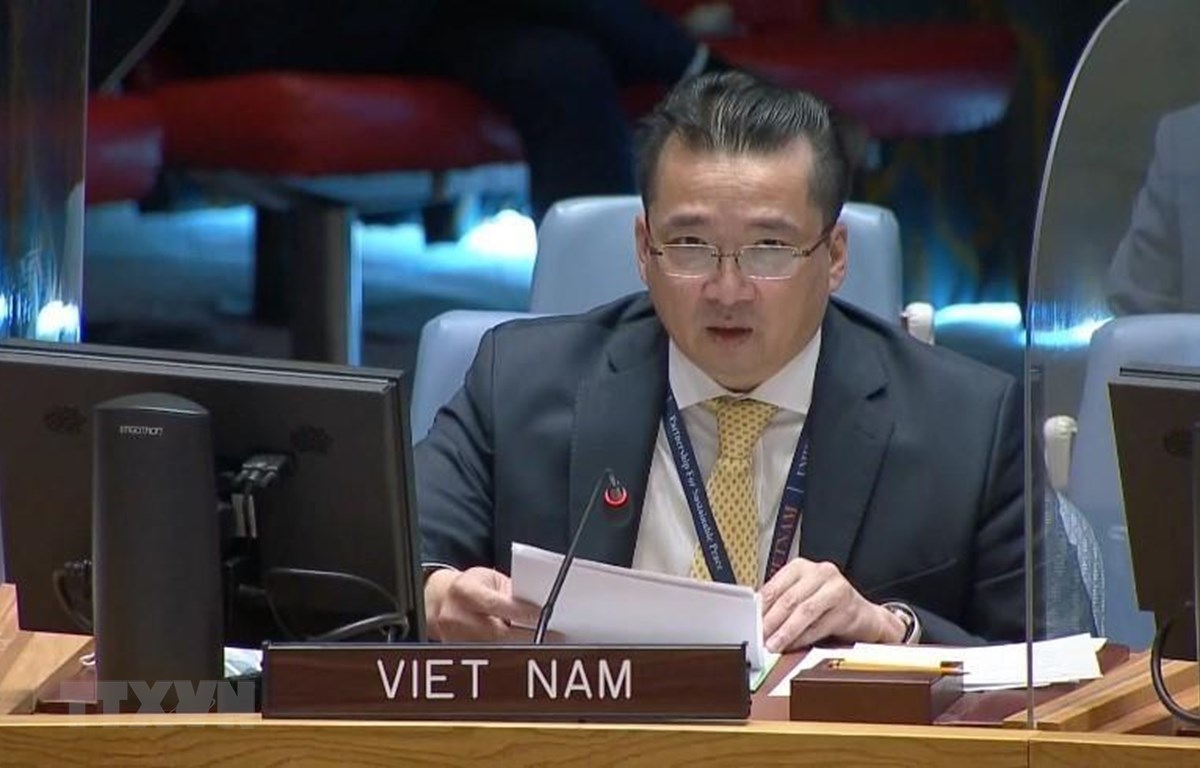 Đại sứ Phạm Hải Anh, Phó Trưởng Phái đoàn thường trực Việt Nam tại LHQ. (Ảnh: TTXVN)