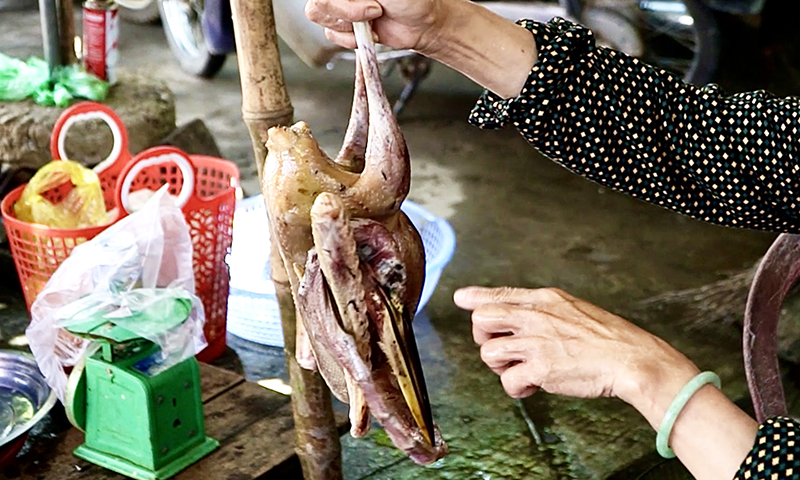 Hoạt động mua, bán các loai chim trời đánh bắt được vẫn diễn ra tại một số chợ trên địa bàn tỉnh.
