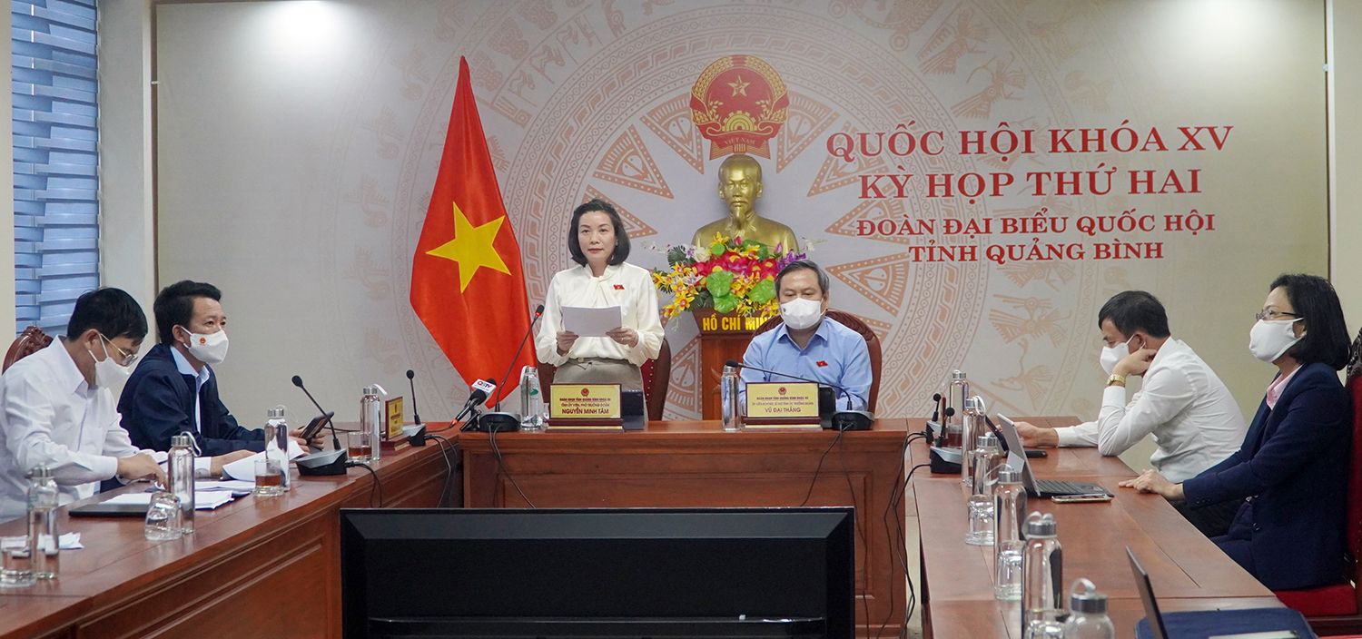 Đại biểu Nguyễn Minh Tâm thảo luận tại phiên họp.