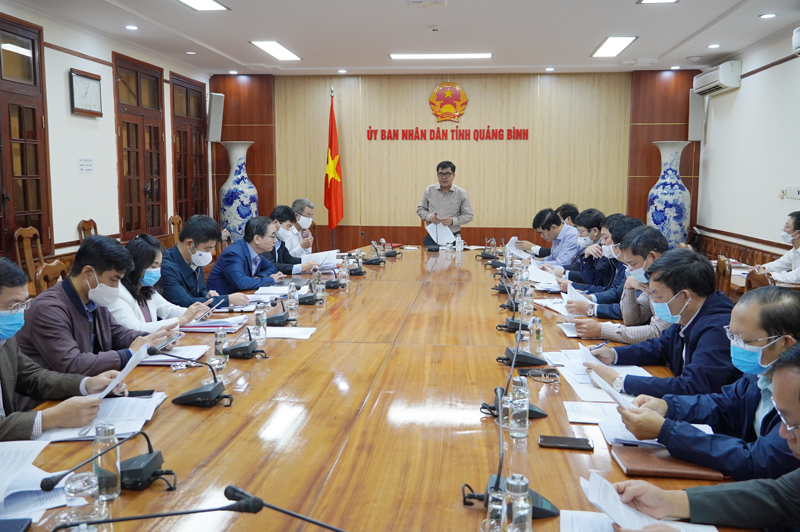 Đồng chí Phó Chủ tịch Thường trực UBND tỉnh Đoàn Ngọc Lâm phát biểu tại buổi làm việc