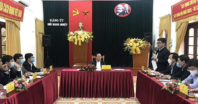 Đồng chí Phó Chủ tịch Thường trực UBND tỉnh Đoàn Ngọc Lâm phát biểu tại buổi làm việc.