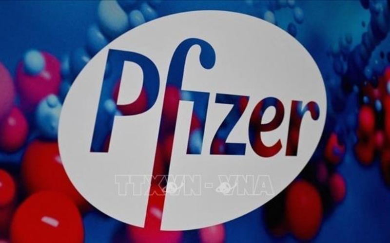 Biểu tượng hãng dược phẩm Pfizer (Mỹ). (Ảnh: Bloomberg/TTXVN)