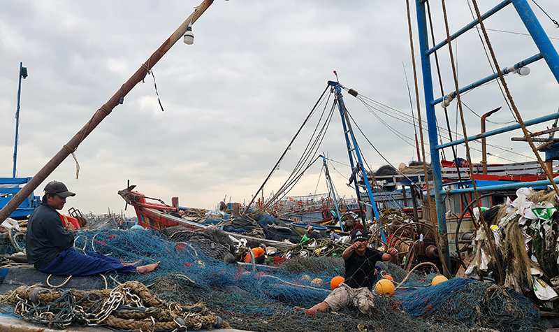 Giá xăng dầu lên cao trong khi giá hải sản lại sụt giảm khiến đời sống của ngư dân gặp nhiều khó khăn.