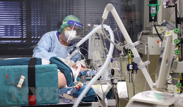 Nhân viên y tế điều trị cho bệnh nhân COVID-19 tại bệnh viện ở Magdeburg, Đức. (Ảnh: AFP/TTXVN)