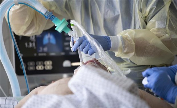 Nhân viên y tế điều trị cho bệnh nhân COVID-19 tại bệnh viện ở Stuttgart, Đức. (Ảnh: AFP/TTXVN)