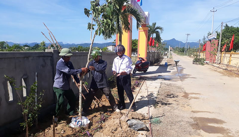 Cán bộ, hội viên CCB xã Võ Ninh tham gia trồng cây xanh ven các tuyến đường.