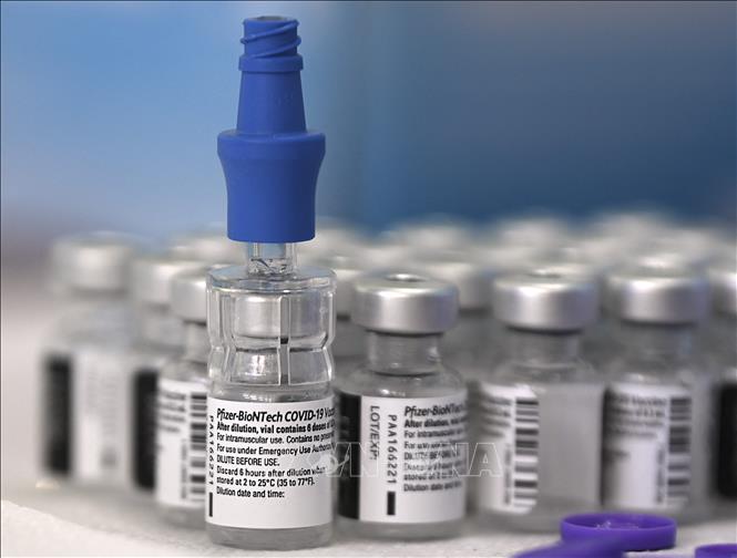  Vaccine phòng COVID-19 của Hãng Pfizer/BioNTech. Ảnh: AFP/TTXVN