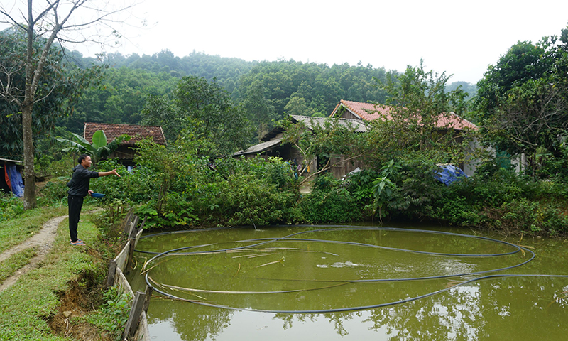 Mô hình kinh tế tổng hợp của gia đình anh Cao Tuyên, ở bản Hoá Lương, xã Hóa Sơn mang lại thu nhập ổn định.