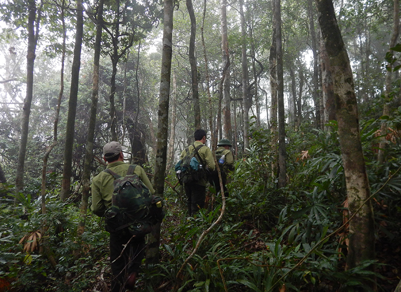 Cán bộ Hạt Kiểm lâm VQG Phong Nha-Kẻ Bàng tuần tra bảo vệ rừng.
