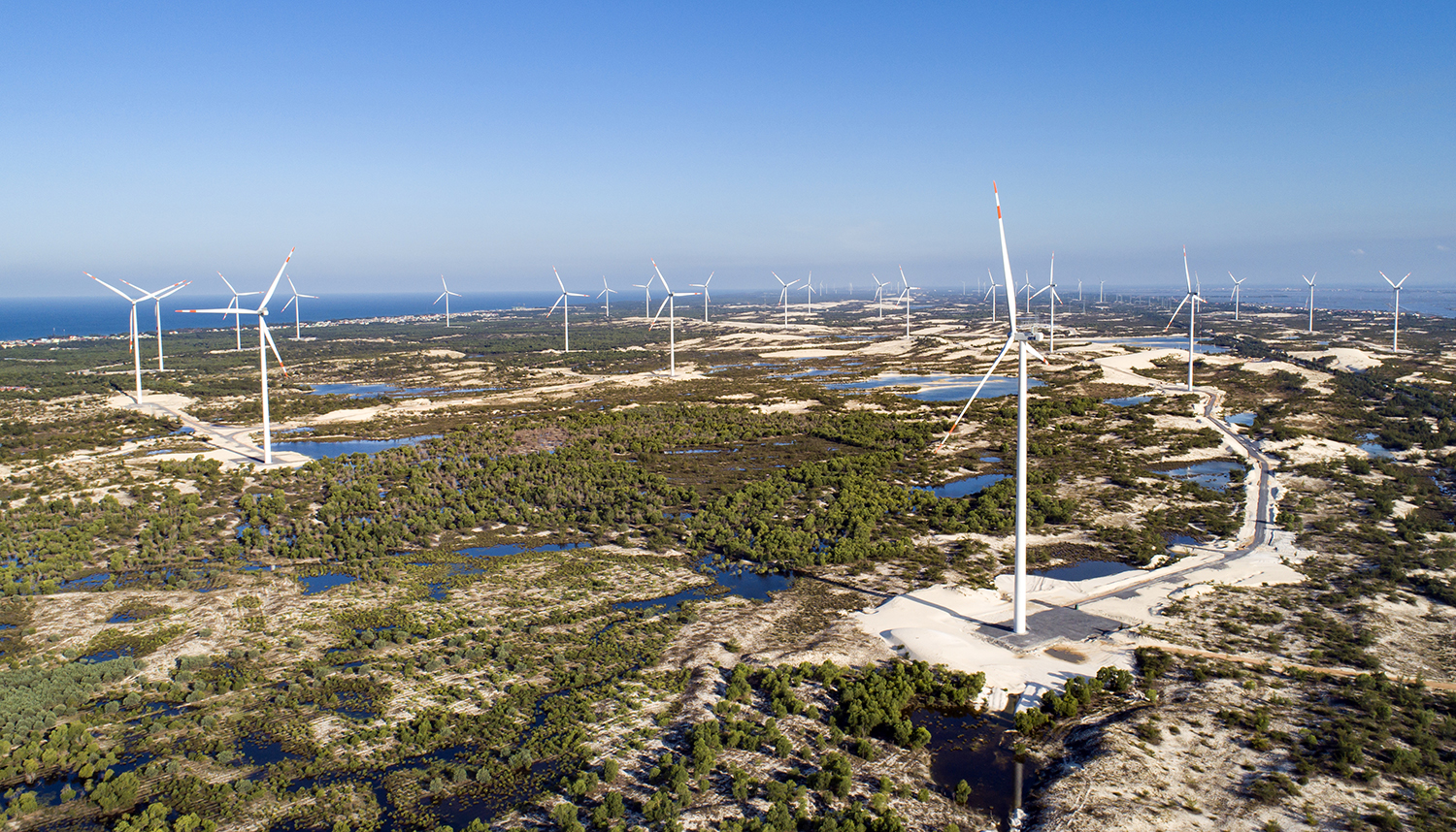 Dự án điện gió B&T khánh thành và đi vào hoạt động tháng 11-2021.
