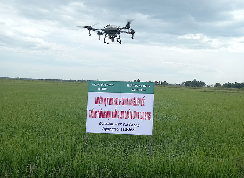 Thiết bị bay không người lái được đưa vào sử dụng tại mô hình KHCN liên kết sản xuất lúa chất lượng cao ST25 tại huyện Lệ Thủy.