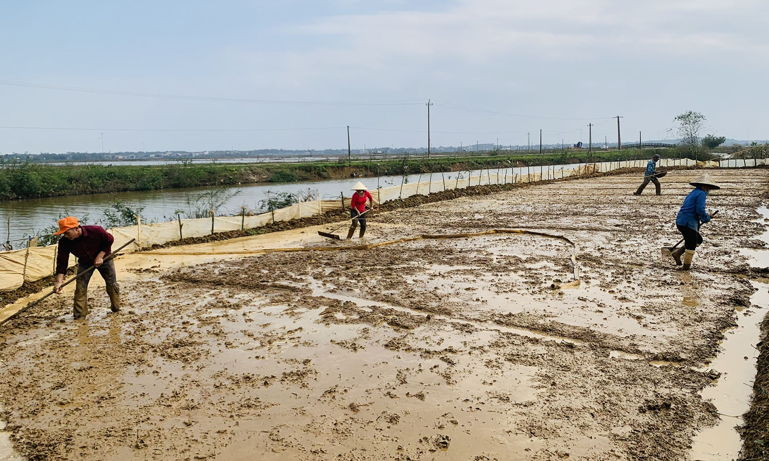 Một số vùng chân ruộng thấp trên địa bàn huyện Lệ Thủy đã gieo mạ để kịp cấy lúa theo đúng khung lịch thời vụ.