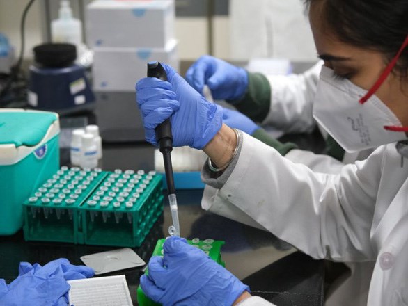 Kỹ thuật viên chuẩn bị các mẫu xét nghiệm bên trong phòng thí nghiệm ở New Delhi, Ấn Độ. (Ảnh: Bloomberg) 