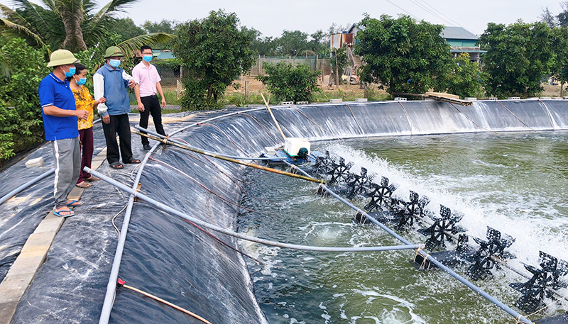Hồ nuôi tôm, cá của gia đình chị Vũ Minh Hường được sửa chữa, nâng cấp nhằm bảo đảm chất lượng và sản lượng sản phẩm nuôi trồng.